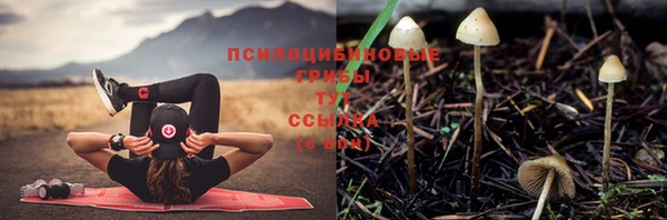винт Костерёво