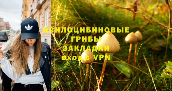 соль курить ск Краснослободск