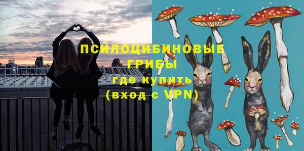 винт Костерёво