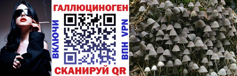 купить наркотики цена  Красноуфимск  Псилоцибиновые грибы ЛСД 